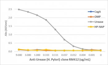 An ELISA of Helicobacter Pylori proteins using recombinant Helicobacter pylori Urease antibody. The plate was coated with 1 ug/ml of CagA, OMP, Urease, or HP-NAP of H. Pylori. A serial dilution of the RM412 mAb was used as the primary antibody. An alkaline phosphatase conjugated anti-rabbit IgG was used as t
