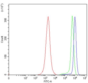 Flow cytometry testing of human JK cells with ERLIN2 antibody at 1ug/million cells (blocked with goat sera); Red=cells alone, Green=isotype control, Blue= ERLIN2 antibody.