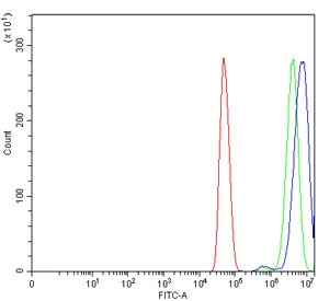 Flow cytometry testing of human U-251 cells with KHSRP antibody at 1ug/million cells (blocked with goat sera); Red=cells alone, Green=isotype control, Blue= KHSRP antibody.