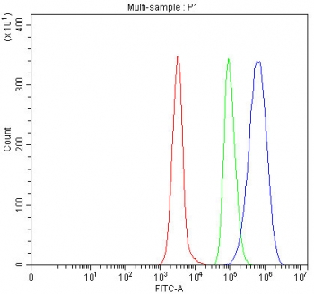 Flow cytometry testing of human Daudi cells with TOMM34 antibody at 1ug/million cells (blocked with goat sera); Red=cells alone, Green=isotype control, Blue= TOMM34 antibody.