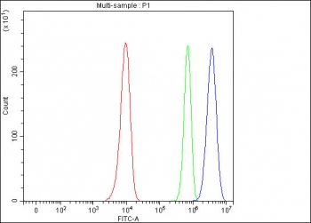 Flow cytometry testing of human HeLa cells with RRP8 antibody at 1ug/million cells (blocked with goat sera); Red=cells alone, Green=isotype control, Blue= RRP8 antibody.