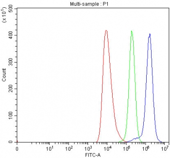 Flow cytometry testing of human U937 cells with TRIM71 antibody at 1ug/million cells (blocked with goat sera); Red=cells alone, Green=isotype control, Blue= TRIM71 antibody.
