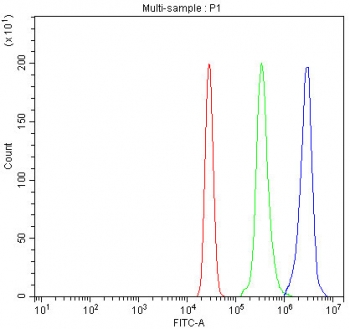 Flow cytometry testing of human U937 cells with Nitric Oxide Synthase 3 antibody at 1ug/million cells (blocked with goat sera); Red=cells alone, Green=isotype control, Blue= Nitric Oxide Synthase 3 antibody.