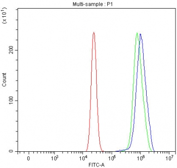 Flow cytometry testing of human U-2 OS cells with SDCBP2 antibody at 1ug/million cells (blocked with goat sera); Red=cells alone, Green=isotype control, Blue= SDCBP2 antibody.