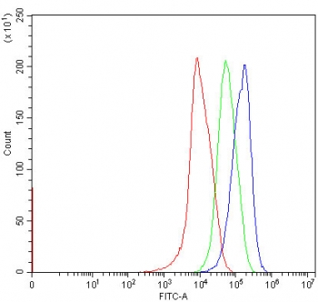 Flow cytometry testing of human HepG2 cells with GOT1 antibody at 1ug/million cells (blocked with goat sera); Red=cells alone, Green=isotype control, Blue= GOT1 antibody.