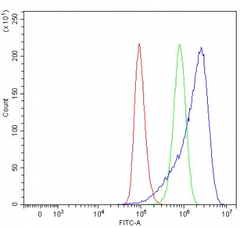 Flow cytometry testing of human A549 cells with Sideroflexin-3 antibody at 1ug/million cells (blocked with goat sera); Red=cells alone, Green=isotype control, Blue= Sideroflexin-3 antibody.