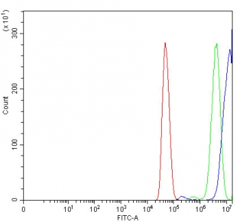 Flow cytometry testing of human U-251 cells with IFI16 antibody at 1ug/million cells (blocked with goat sera); Red=cells alone, Green=isotype control, Blue= IFI16 antibody.