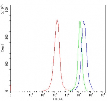 Flow cytometry testing of human Jurkat cells with Endophilin-A3 antibody at 1ug/million cells (blocked with goat sera); Red=cells alone, Green=isotype control, Blue= Endophilin-A3 antibody.