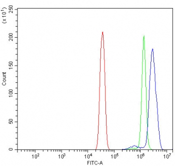 Flow cytometry testing of human HeLa cells with XRCC1 antibody at 1ug/million cells (blocked with goat sera); Red=cells alone, Green=isotype control, Blue= XRCC1 antibody.