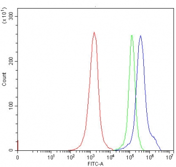 Flow cytometry testing of human Jurkat cells with Thymidine Kinase 2 antibody at 1ug/million cells (blocked with goat sera); Red=cells alone, Green=isotype control, Blue= Thymidine Kinase 2 antibody.