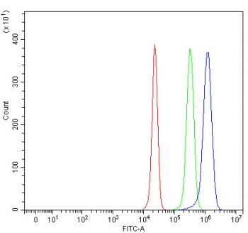 Flow cytometry testing of human HepG2 cells with TRMT61A antibody at 1ug/million cells (blocked with goat sera); Red=cells alone, Green=isotype control, Blue= TRMT61A antibody.