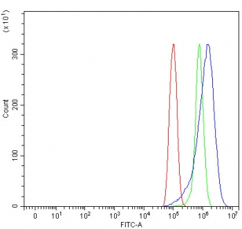 Flow cytometry testing of human PC-3 cells with TRMT61A antibody at 1ug/million cells (blocked with goat sera); Red=cells alone, Green=isotype control, Blue= TRMT61A antibody.