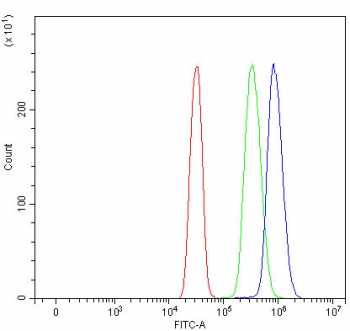 Flow cytometry testing of human SiHa cells with mSin3A antibody at 1ug/million cells (blocked with goat sera); Red=cells alone, Green=isotype control, Blue= mSin3A antibody.