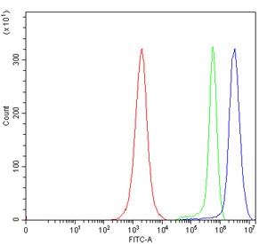 Flow cytometry testing of human Jurkat cells with AGER antibody at 1ug/million cells (blocked with goat sera); Red=cells alone, Green=isotype control, Blue= AGER antibody.