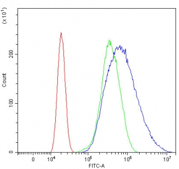 Flow cytometry testing of human U-2 OS cells with EHD4 antibody at 1ug/million cells (blocked with goat sera); Red=cells alone, Green=isotype control, Blue= EHD4 antibody.