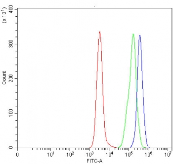 Flow cytometry testing of human Daudi cells with SNRNP40 antibody at 1ug/million cells (blocked with goat sera); Red=cells alone, Green=isotype control, Blue= SNRNP40 antibody.