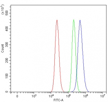 Flow cytometry testing of human RT4 cells with Crk-like protein antibody at 1ug/million cells (blocked with goat sera); Red=cells alone, Green=isotype control, Blue= Crk-like protein antibody.