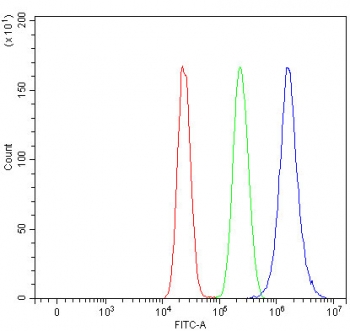 Flow cytometry testing of human MCF7 cells with U2 snRNP A antibody at 1ug/million cells (blocked with goat sera); Red=cells alone, Green=isotype control, Blue= U2 snRNP A antibody.