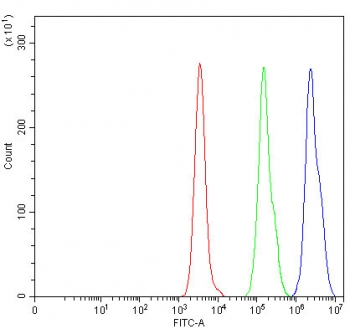 Flow cytometry testing of human Daudi cells with OTT3 antibody at 1ug/million cells (blocked with goat sera); Red=cells alone, Green=isotype control, Blue= OTT3 antibody.