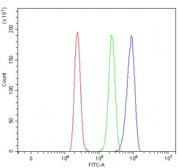 Flow cytometry testing of human HL60 cells with RASAL2 antibody at 1ug/million cells (blocked with goat sera); Red=cells alone, Green=isotype control, Blue= RASAL2 antibody.