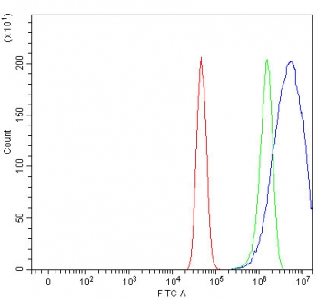Flow cytometry testing of human U-251 cells with Small ribosomal subunit protein uS7 antibody at 1ug/million cells (blocked with goat sera); Red=cells alone, Green=isotype control, Blue= Small ribosomal subunit protein uS7 antibody.