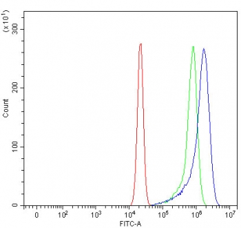 Flow cytometry testing of human U-2 OS cells with smgGDS antibody at 1ug/million cells (blocked with goat sera); Red=cells alone, Green=isotype control, Blue= smgGDS antibody.