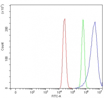 Flow cytometry testing of human MCF7 cells with ArgRS antibody at 1ug/million cells (blocked with goat sera); Red=cells alone, Green=isotype control, Blue= ArgRS antibody.