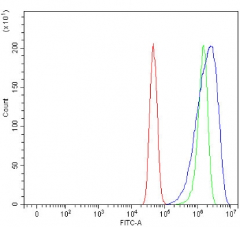 Flow cytometry testing of human U-251 cells with DBL antibody at 1ug/million cells (blocked with goat sera); Red=cells alone, Green=isotype control, Blue= DBL antibody.