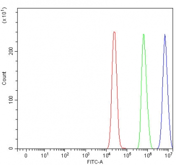 Flow cytometry testing of human MCF7 cells with RANBP2 antibody at 1ug/million cells (blocked with goat sera); Red=cells alone, Green=isotype control, Blue= RANBP2 antibody.