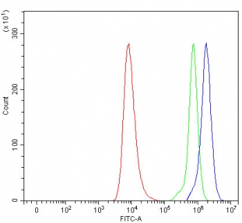 Flow cytometry testing of human HEL cells with TTLL12 antibody at 1ug/million cells (blocked with goat sera); Red=cells alone, Green=isotype control, Blue= TTLL12 antibody.