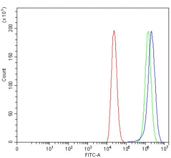 Flow cytometry testing of human Caco-2 cells with TTLL12 antibody at 1ug/million cells (blocked with goat sera); Red=cells alone, Green=isotype control, Blue= TTLL12 antibody.