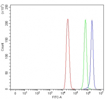 Flow cytometry testing of human MCF7 cells with RNF212B antibody at 1ug/million cells (blocked with goat sera); Red=cells alone, Green=isotype control, Blue= RNF212B antibody.
