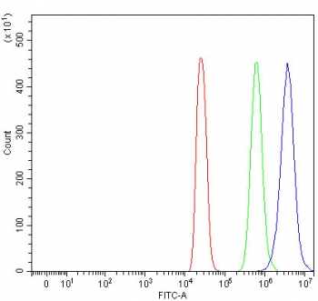 Flow cytometry testing of human 293T cells with KIF1A antibody at 1ug/million cells (blocked with goat sera); Red=cells alone, Green=isotype control, Blue= KIF1A antibody.