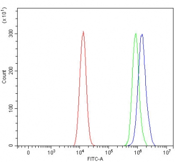 Flow cytometry testing of human HEL cells with RBM11 antibody at 1ug/million cells (blocked with goat sera); Red=cells alone, Green=isotype control, Blue= RBM11 antibody.