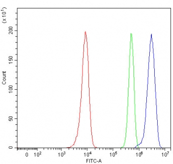 Flow cytometry testing of human HeLa cells with RBM14 antibody at 1ug/million cells (blocked with goat sera); Red=cells alone, Green=isotype control, Blue= RBM14 antibody.