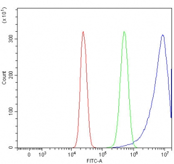 Flow cytometry testing of human HepG2 cells with REP15 antibody at 1ug/million cells (blocked with goat sera); Red=cells alone, Green=isotype control, Blue= REP15 antibody.