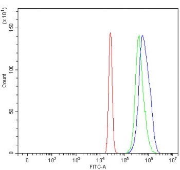 Flow cytometry testing of human HL-60 cells with RNF34 antibody at 1ug/million cells (blocked with goat sera); Red=cells alone, Green=isotype control, Blue= RNF34 antibody.