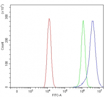 Flow cytometry testing of human HEL cells with RIMKLB antibody at 1ug/million cells (blocked with goat sera); Red=cells alone, Green=isotype control, Blue= RIMKLB antibody.