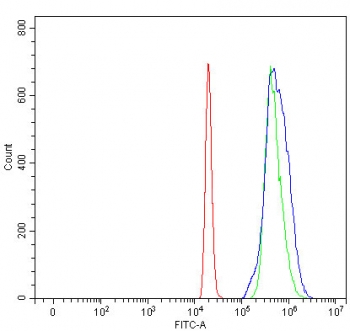 Flow cytometry testing of human HL-60 cells with RFX1 antibody at 1ug/million cells (blocked with goat sera); Red=cells alone, Green=isotype control, Blue= RFX1 antibody.