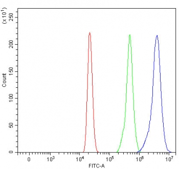Flow cytometry testing of human HL60 cells with Myeloperoxidase antibody at 1ug/million cells (blocked with goat sera); Red=cells alone, Green=isotype control, Blue= Myeloperoxidase antibody.