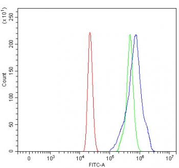 Flow cytometry testing of human HL60 cells with Ribophorin II antibody at 1ug/million cells (blocked with goat sera); Red=cells alone, Green=isotype control, Blue= Ribophorin II antibody.