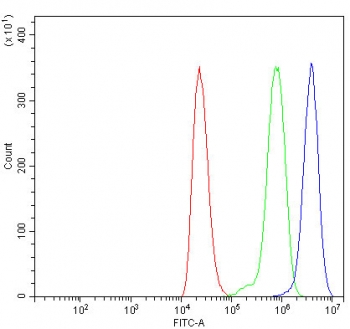 Flow cytometry testing of human ThP-1 cells with RPL11 antibody at 1ug/million cells (blocked with goat sera); Red=cells alone, Green=isotype control, Blue= RPL11 antibody.
