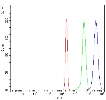Flow cytometry testing of human HepG2 cells with RTEL1 antibody at 1ug/million cells (blocked with goat sera); Red=cells alone, Green=isotype control, Blue= RTEL1 antibody.