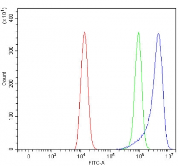 Flow cytometry testing of human HEL cells with RUFY4 antibody at 1ug/million cells (blocked with goat sera); Red=cells alone, Green=isotype control, Blue= RUFY4 antibody.