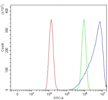 Flow cytometry testing of human HeLa cells with OLAH antibody at 1ug/million cells (blocked with goat sera); Red=cells alone, Green=isotype control, Blue= OLAH antibody.
