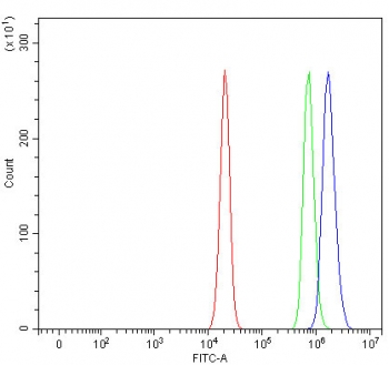 Flow cytometry testing of human U-2 OS cells with RSBN1 antibody at 1ug/million cells (blocked with goat sera); Red=cells alone, Green=isotype control, Blue= RSBN1 antibody.
