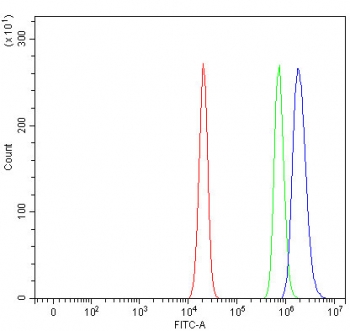 Flow cytometry testing of human U-2 OS cells with PAX5 antibody at 1ug/million cells (blocked with goat sera); Red=cells alone, Green=isotype control, Blue= PAX5 antibody.