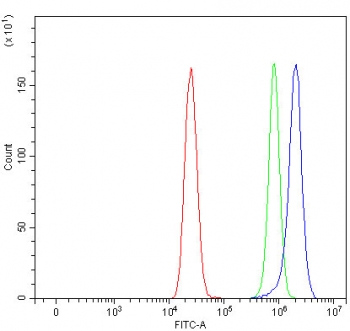 Flow cytometry testing of human MCF7 cells with OXSM antibody at 1ug/million cells (blocked with goat sera); Red=cells alone, Green=isotype control, Blue= OXSM antibody.