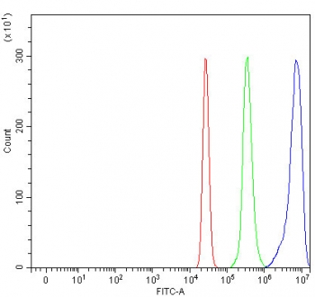 Flow cytometry testing of human U937 cells with OGDHL antibody at 1ug/million cells (blocked with goat sera); Red=cells alone, Green=isotype control, Blue= OGDHL antibody.