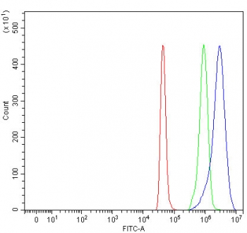 Flow cytometry testing of fixed and permeabilized human SH-SY5Y cells with Selenocysteine lyase antibody at 1ug/million cells (blocked with goat sera); Red=cells alone, Green=isotype control, Blue= Selenocysteine lyase antibody.